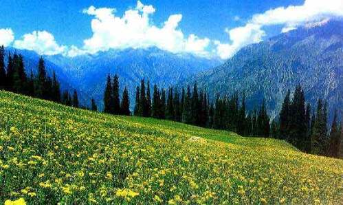 funny things on google earth_11. Kashmir---paradise-on-Earth.1